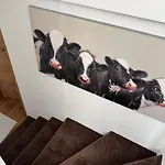 Appartamento Casa Ladina 2